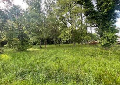 Terrain Pujols-sur-ciron  (Gironde 33)