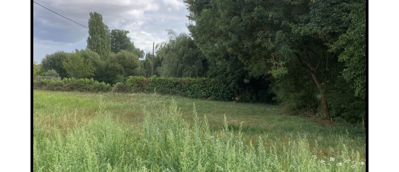 Terrain constructible Saint-christoly-de-blaye  (Gironde 33)