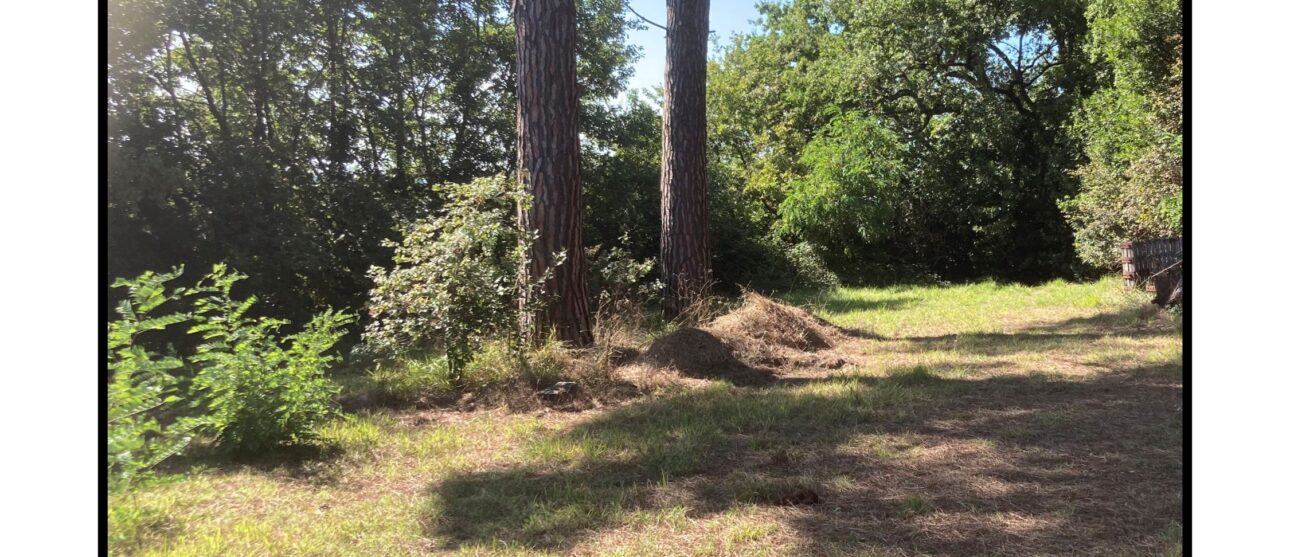 Terrain constructible Cars  (Gironde 33)