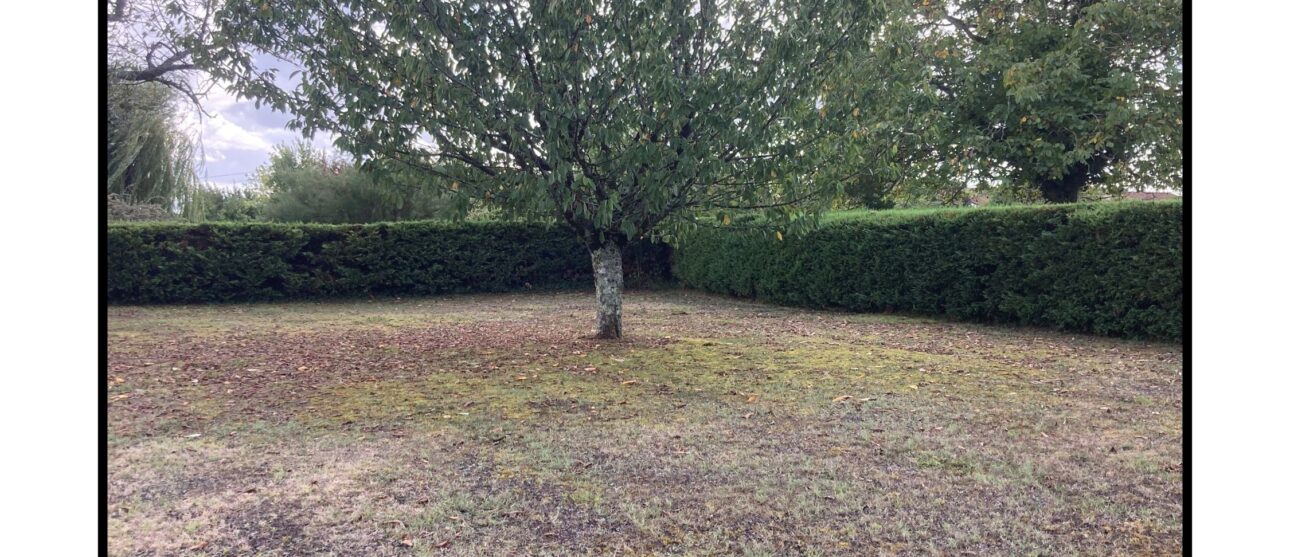 Terrain constructible Cars  (Gironde 33)