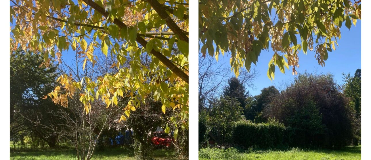 Terrain constructible Comps  (Gironde 33)