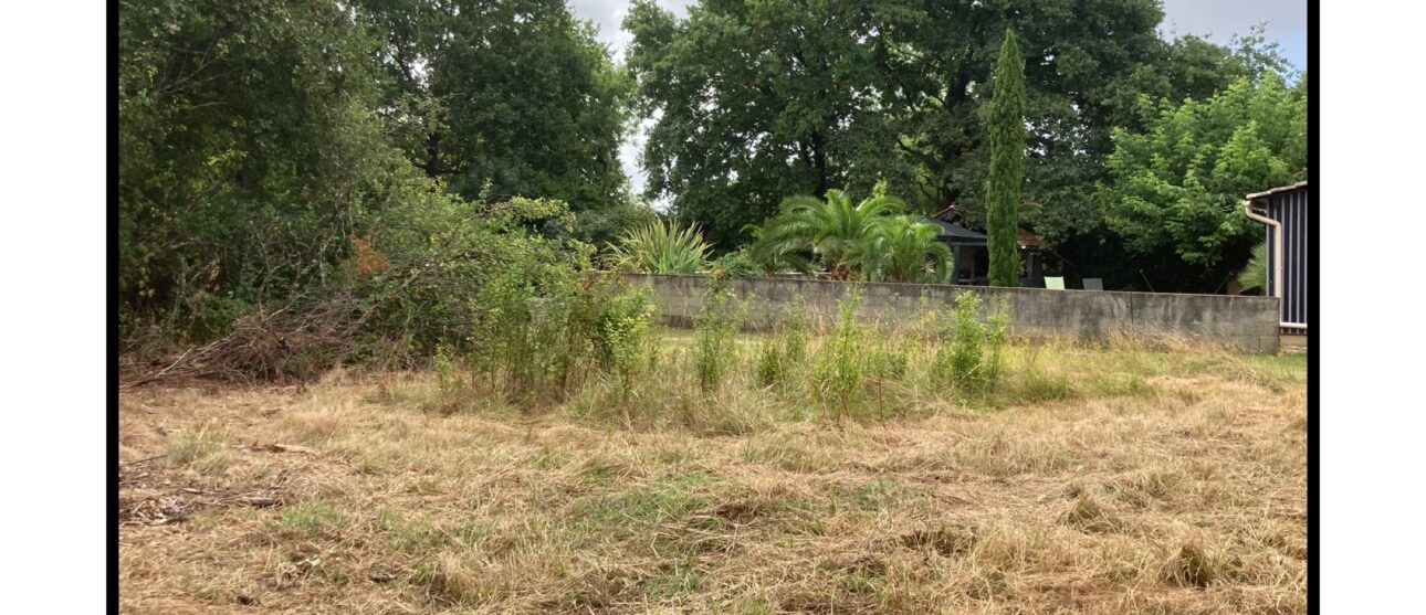 Terrain constructible Gauriaguet  (Gironde 33)