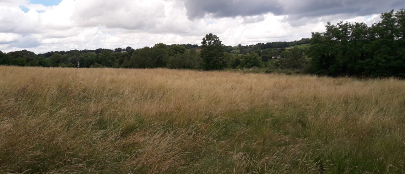 Terrain constructible Léognan  (Gironde 33)