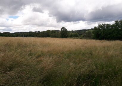 Terrain constructible Léognan  (Gironde 33)