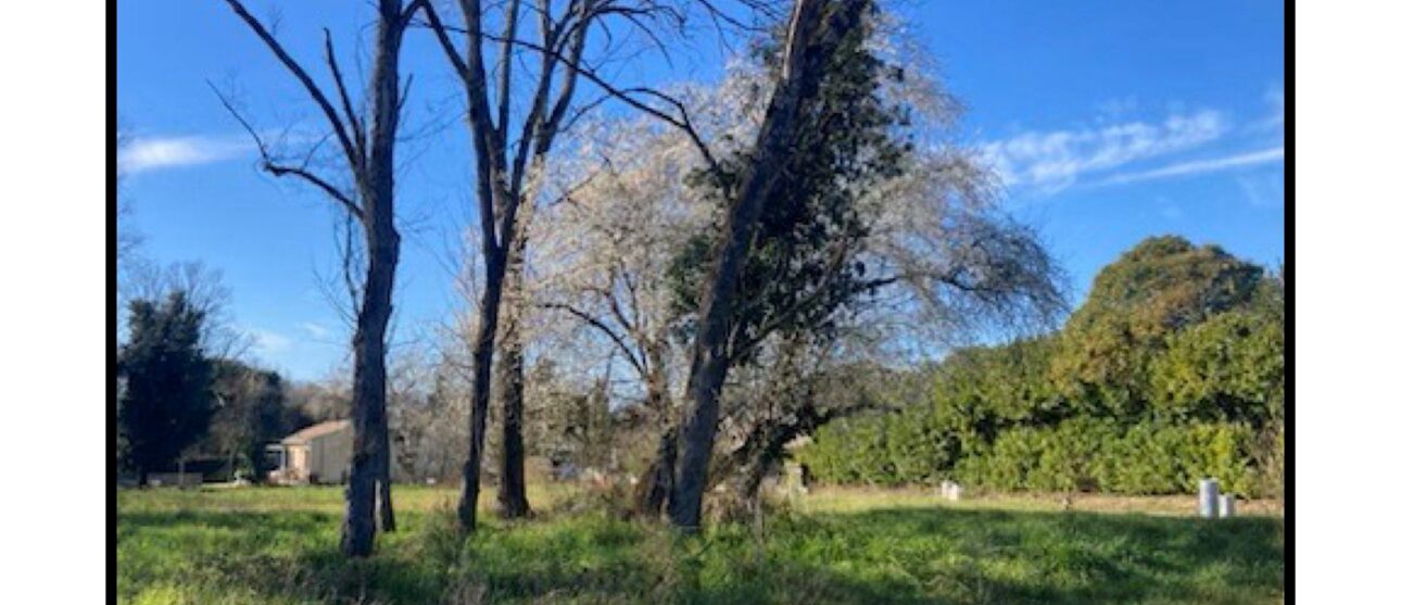 Terrain constructible Prignac-et-marcamps  (Gironde 33)