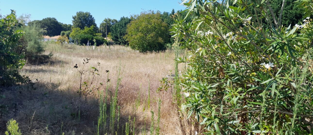 Terrain constructible Saint-maixant (Gironde 33)