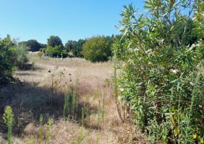 Terrain constructible Saint-maixant  (Gironde 33)