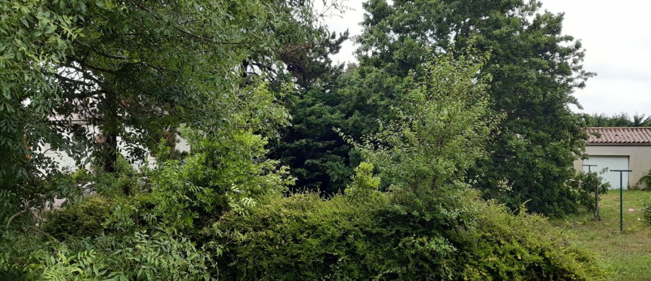 Terrain constructible Fargues (Gironde 33)