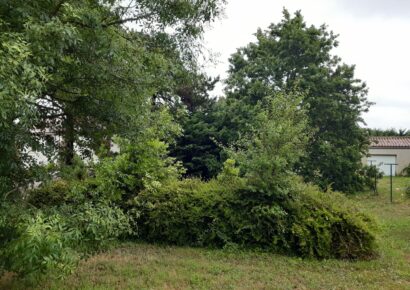 Terrain constructible Fargues  (Gironde 33)