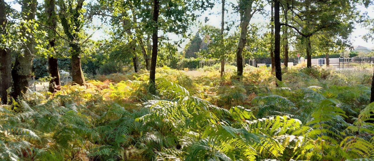 Terrain constructible Langon  (Gironde 33)