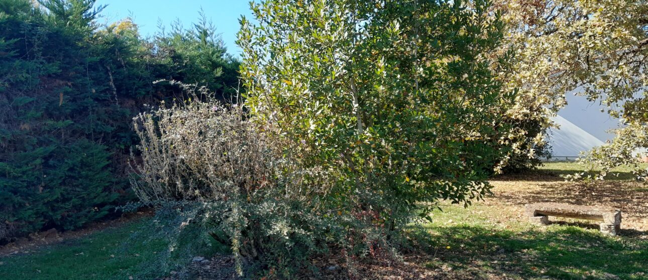 Terrain constructible Saint-loubès  (Gironde 33)