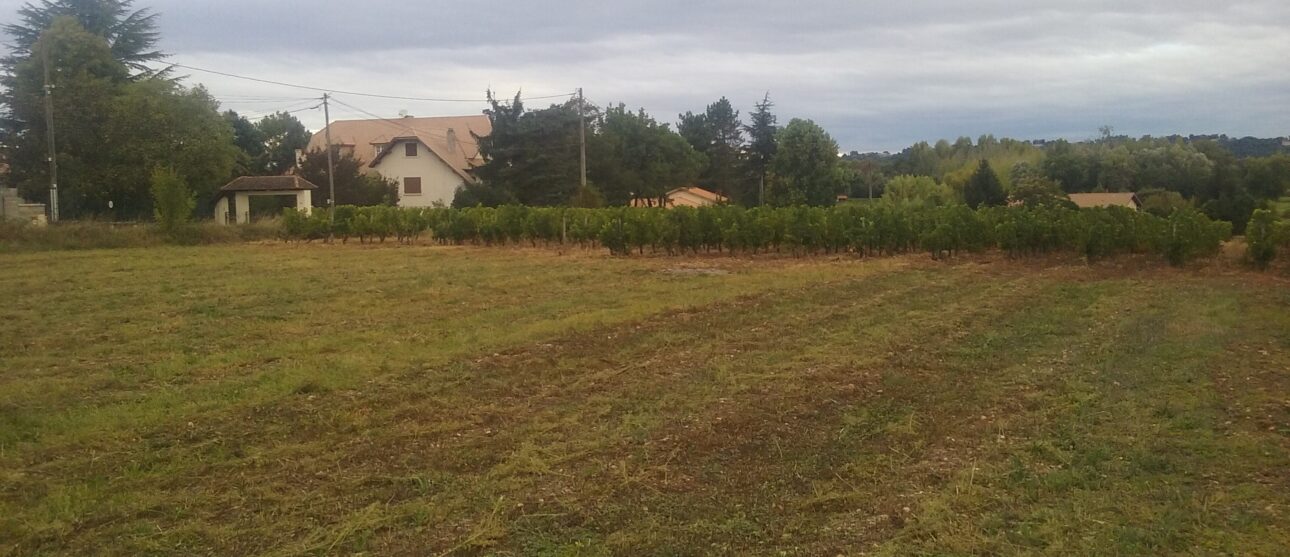 Terrain constructible Saint-maixant (Gironde 33)