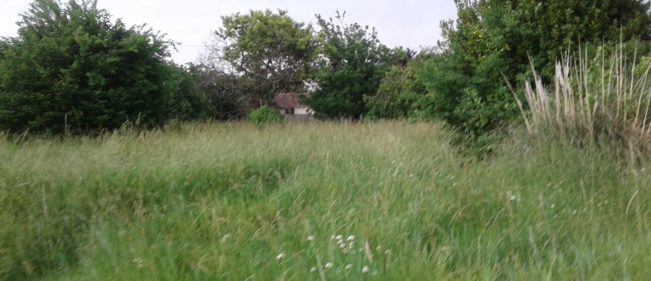 Terrain constructible Pauillac (Gironde 33)