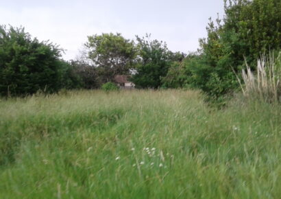 Terrain Queyrac (Gironde 33)