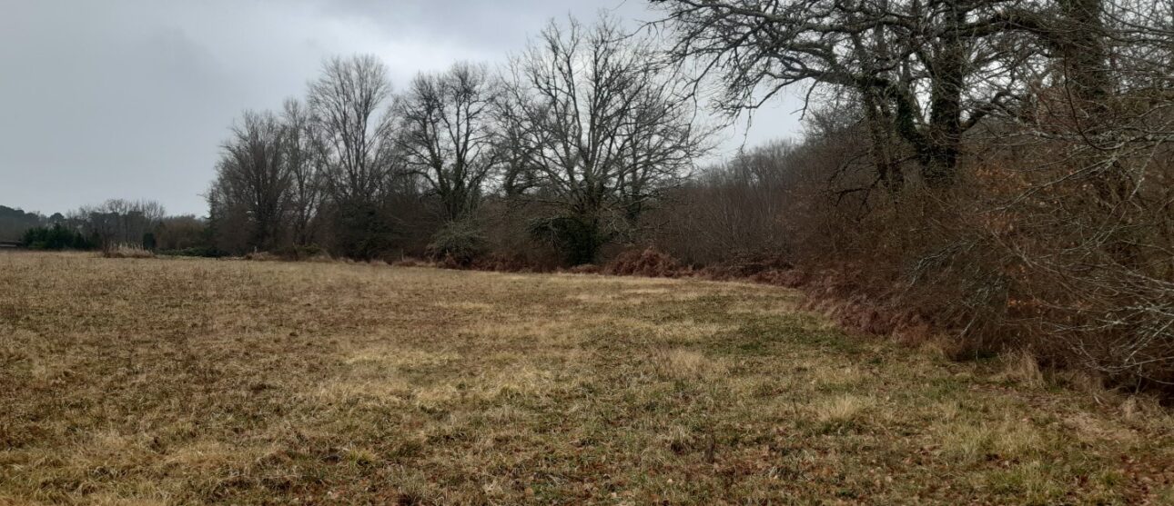 Terrain constructible Auros  (Gironde 33)