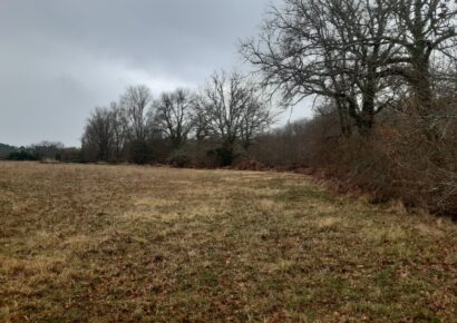 Terrain constructible Léognan (Gironde 33)