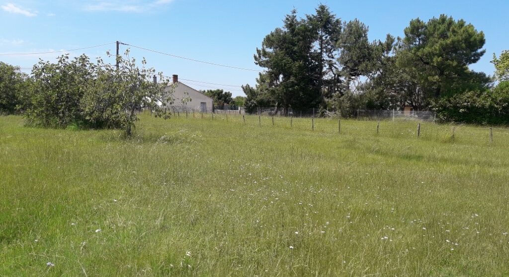 Terrain constructible La brède (Gironde 33)