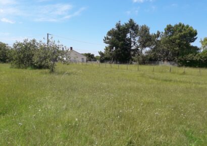 Terrain constructible La brède  (Gironde 33)