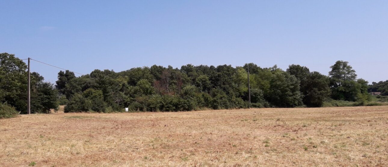 Terrain constructible Landiras  (Gironde 33)