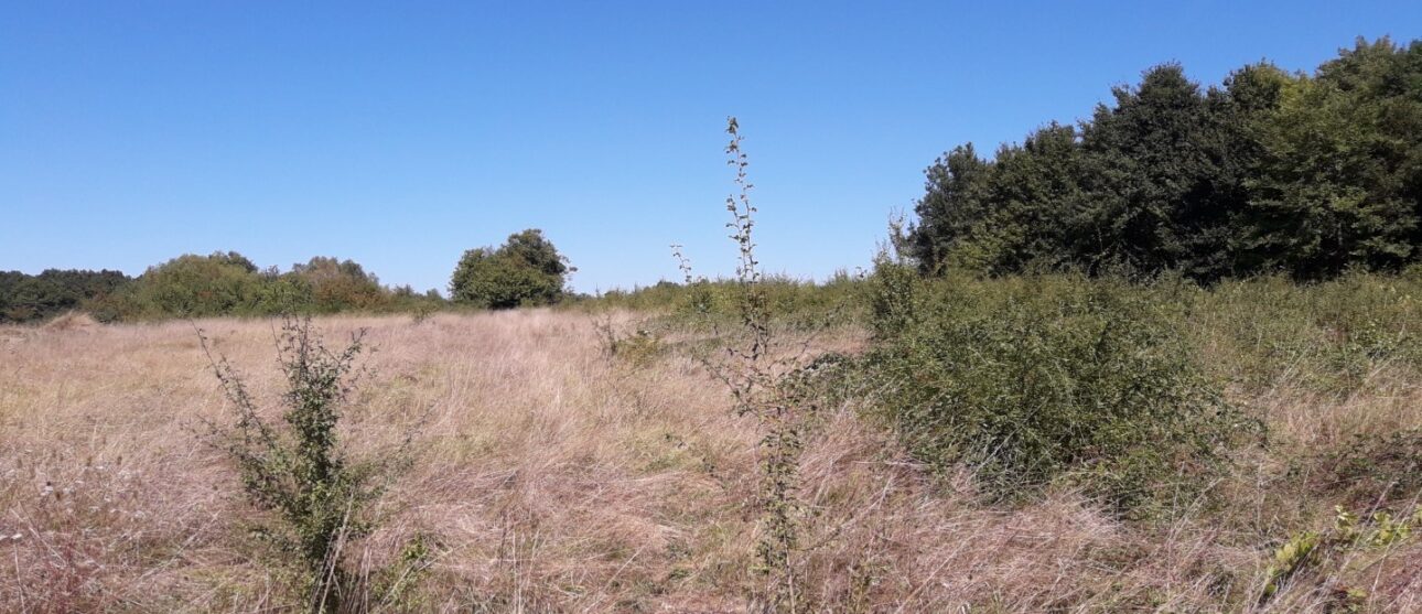 Terrain constructible Cadaujac  (Gironde 33)