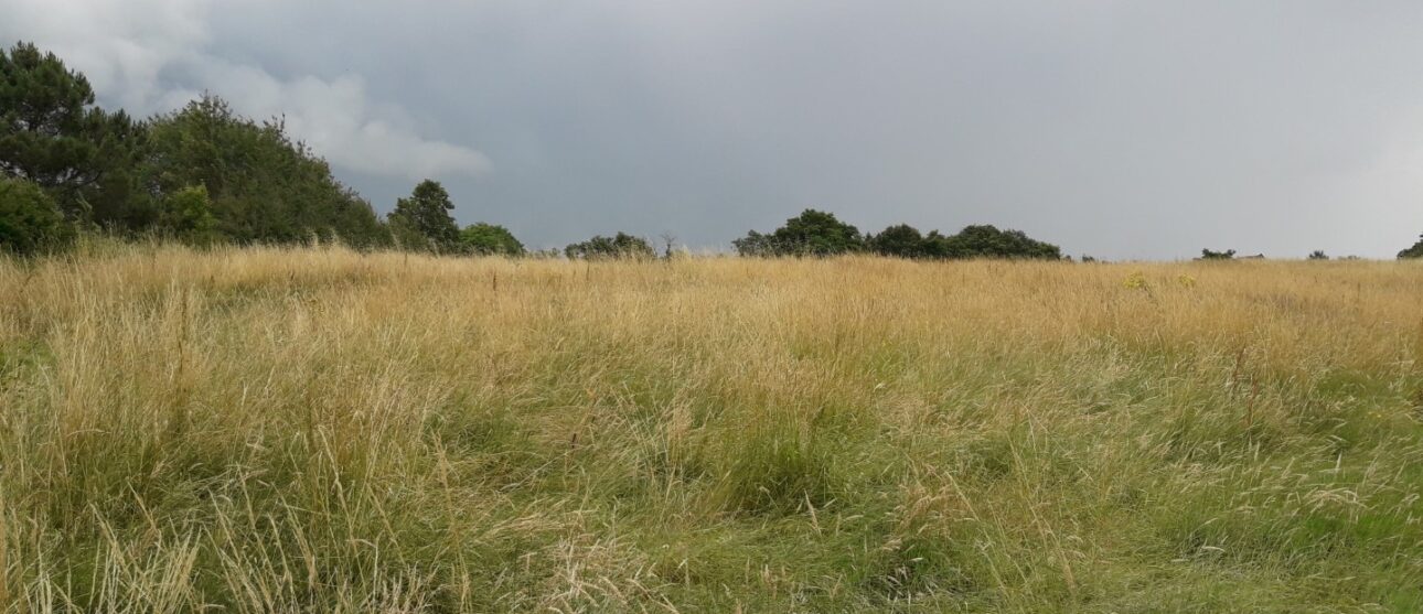 Terrain constructible Cadaujac  (Gironde 33)