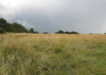 Terrain constructible Cadaujac  (Gironde 33)