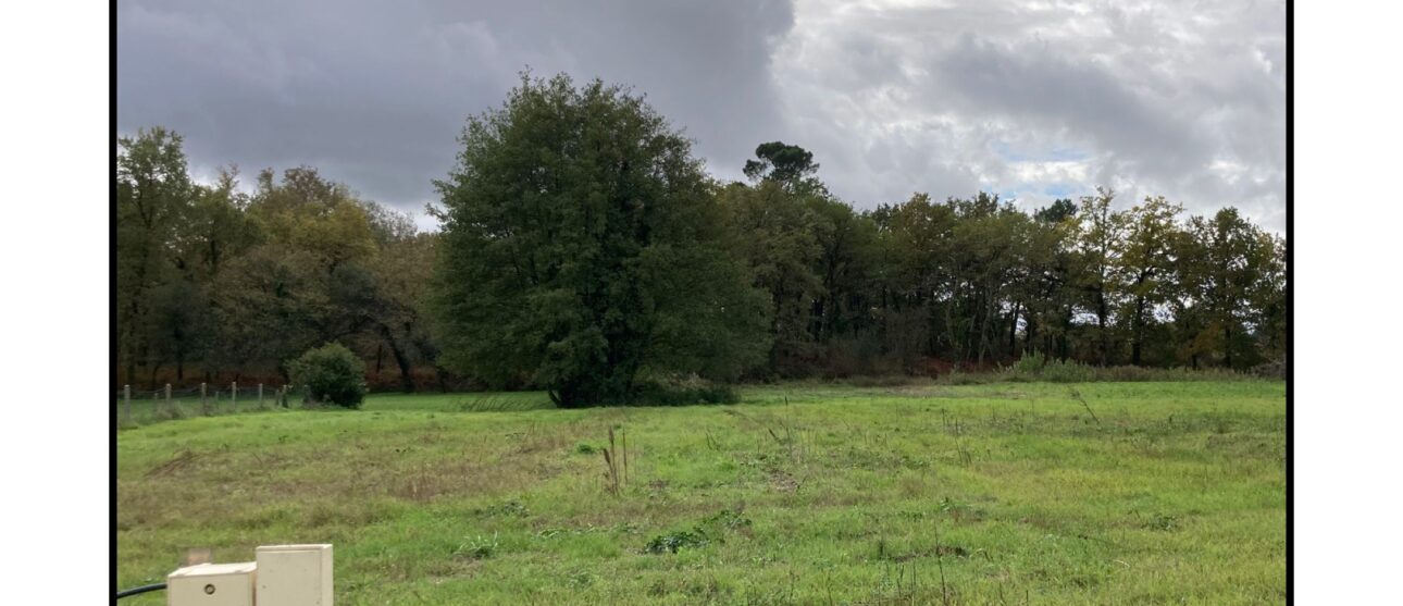 Terrain constructible Pugnac  (Gironde 33)