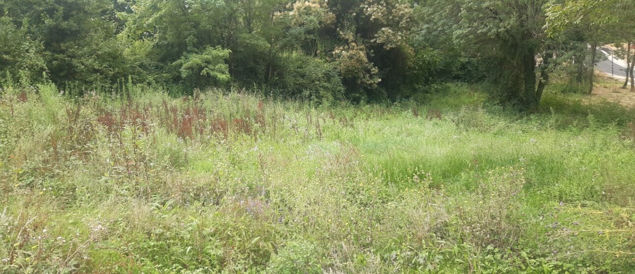 Terrain constructible Portets  (Gironde 33)