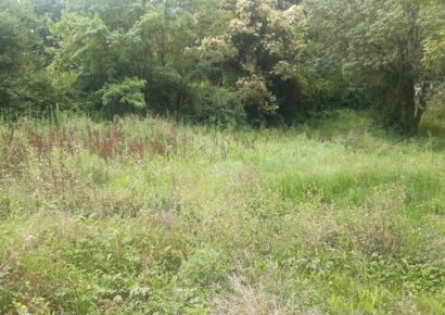 Terrain Saint-michel-de-rieufret  (Gironde 33)