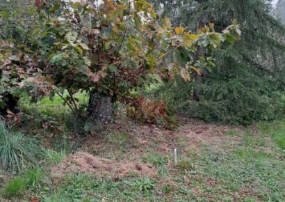 Terrain constructible Saint-macaire (Gironde 33)