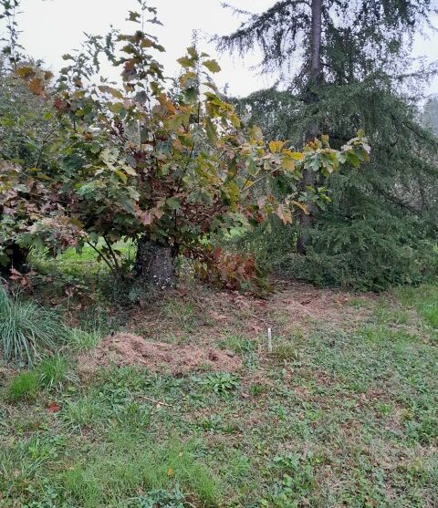 Terrain constructible Saint-macaire  (Gironde 33)