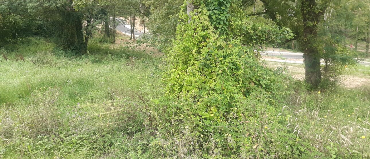 Terrain constructible Portets  (Gironde 33)