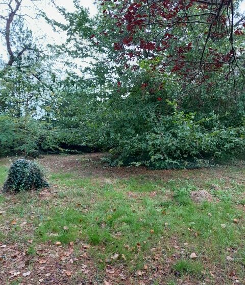 Terrain constructible Castres-gironde  (Gironde 33)