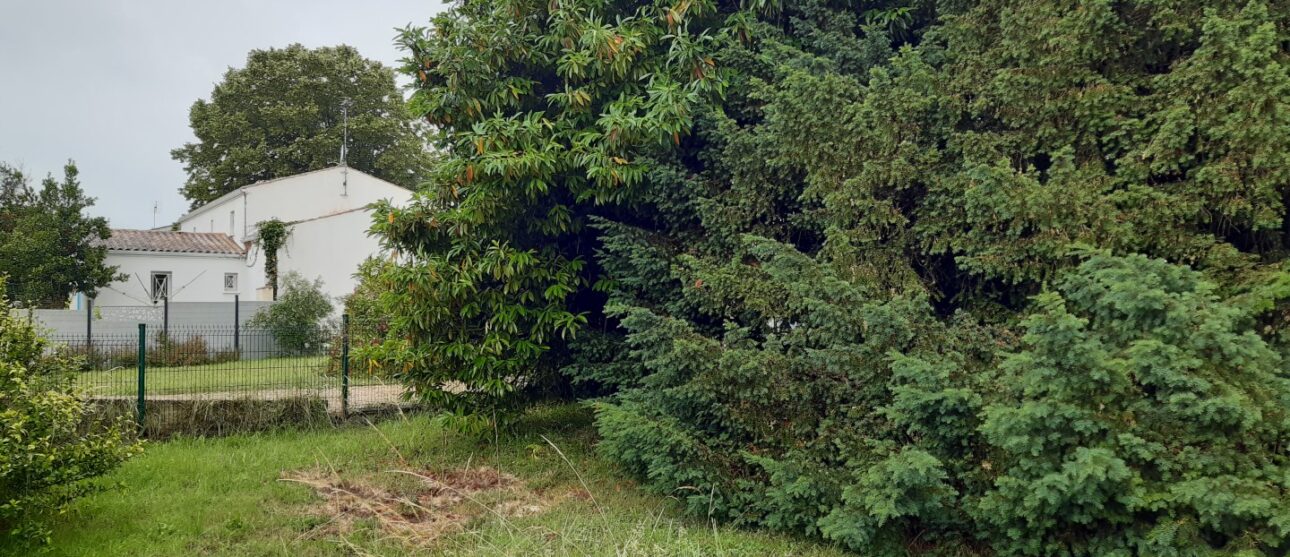 Terrain constructible Saint-maixant  (Gironde 33)