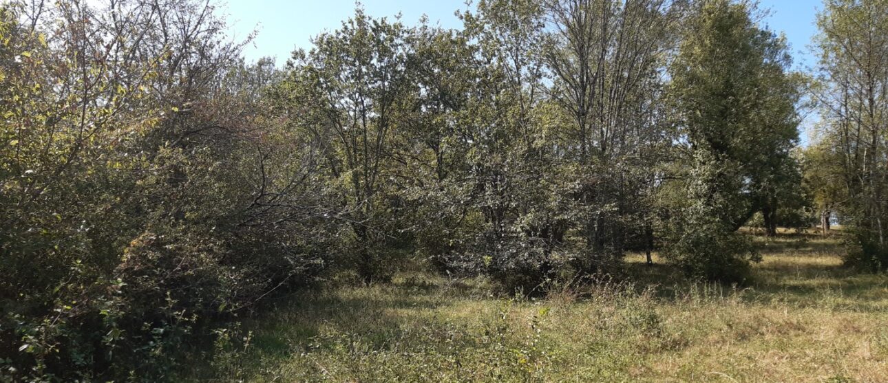 Terrain constructible Arbanats  (Gironde 33)