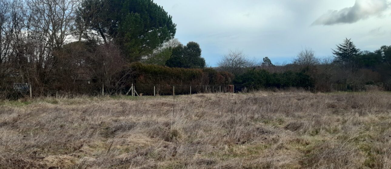 Terrain constructible Saint-michel-de-rieufret  (Gironde 33)
