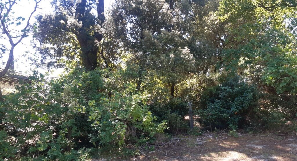 Terrain constructible Fargues  (Gironde 33)