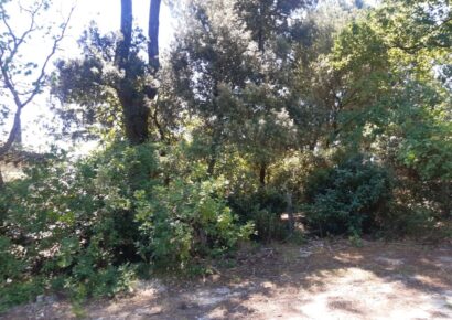 Terrain constructible Fargues  (Gironde 33)