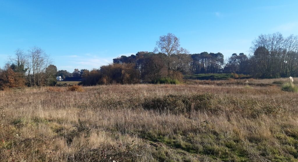 Terrain constructible Langon  (Gironde 33)