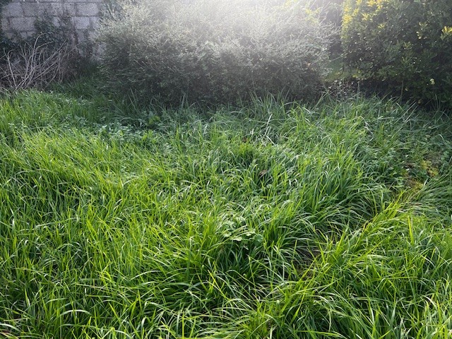 Terrain constructible Périgueux (Dordogne 24)