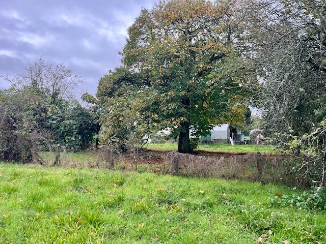 Terrain constructible Les billaux  (Gironde 33)