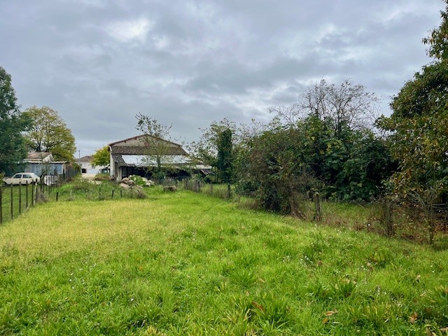 Terrain constructible Les billaux  (Gironde 33)