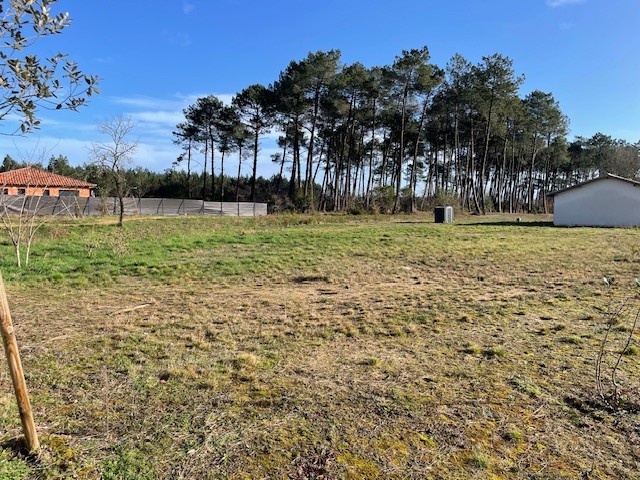 Terrain constructible Belin-béliet  (Gironde 33)
