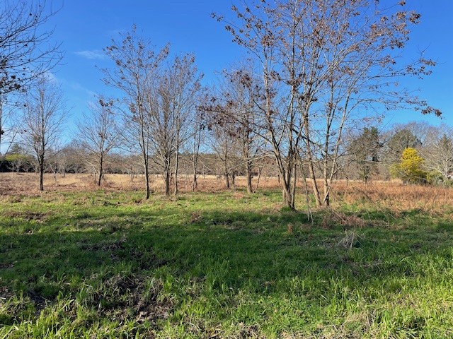 Terrain constructible Biganos  (Gironde 33)