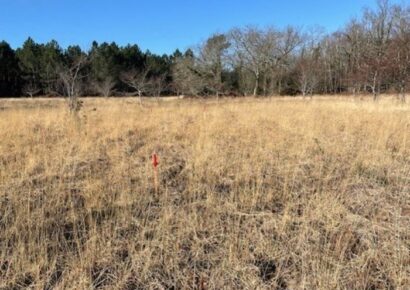 Terrain constructible Lugos  (Gironde 33)