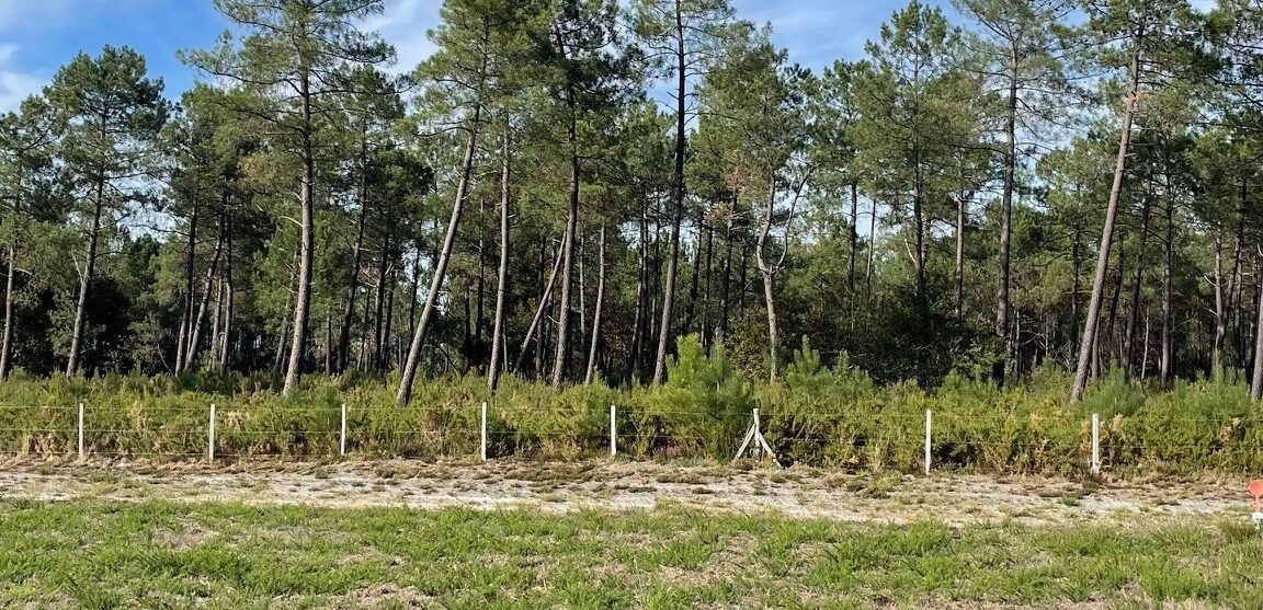 Terrain constructible Mios  (Gironde 33)