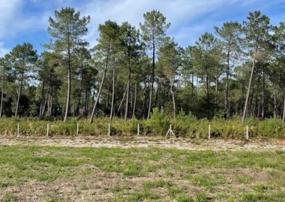 Terrain Ychoux  (Landes 40)