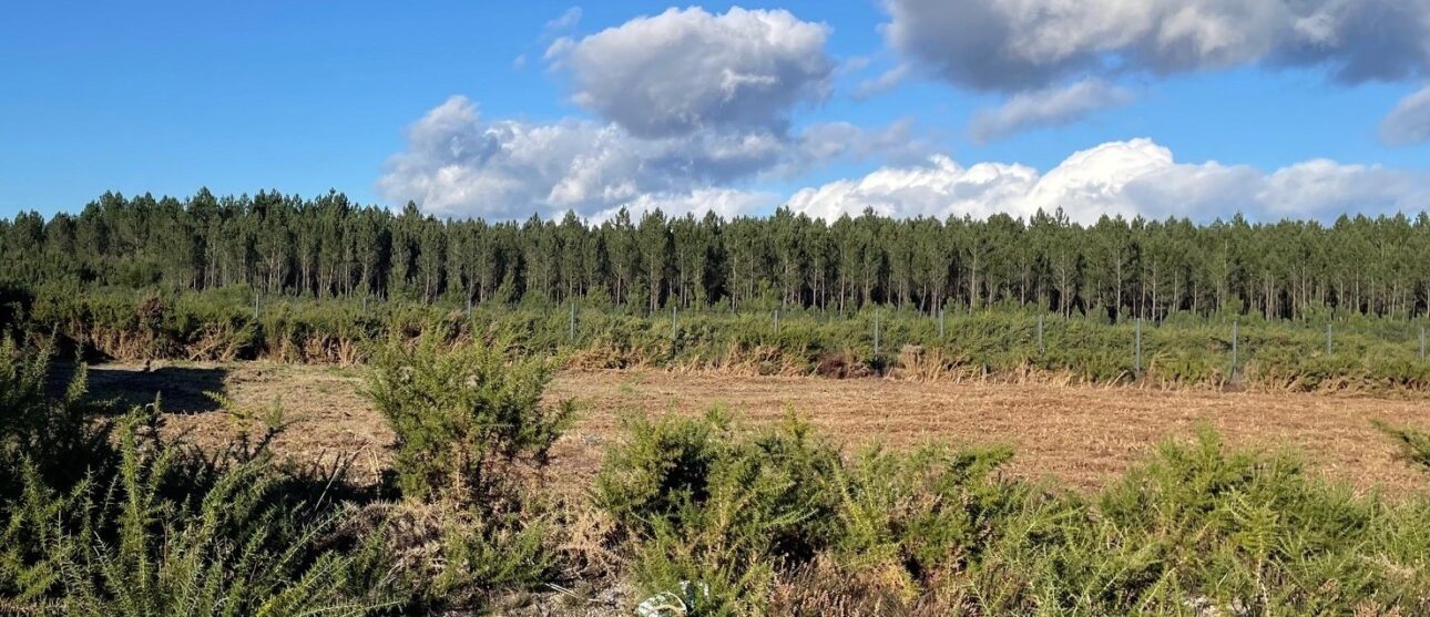 Terrain constructible Mios  (Gironde 33)