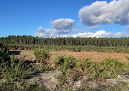 Terrain Ychoux  (Landes 40)