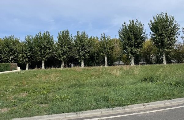 Terrain constructible Le teich  (Gironde 33)